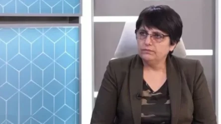 «Ովքե՞ր սպանեցին մեր զավակներին, այդպես կխոսեի՞ք, եթե ձեր զավակները զոհված լինեին». Կարին Տոնոյան