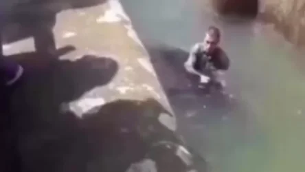 ՏԵՍԱՆՅՈՒԹ. Վարշավայում հարբած տղամարդը հայտնվել է արջի վանդակում