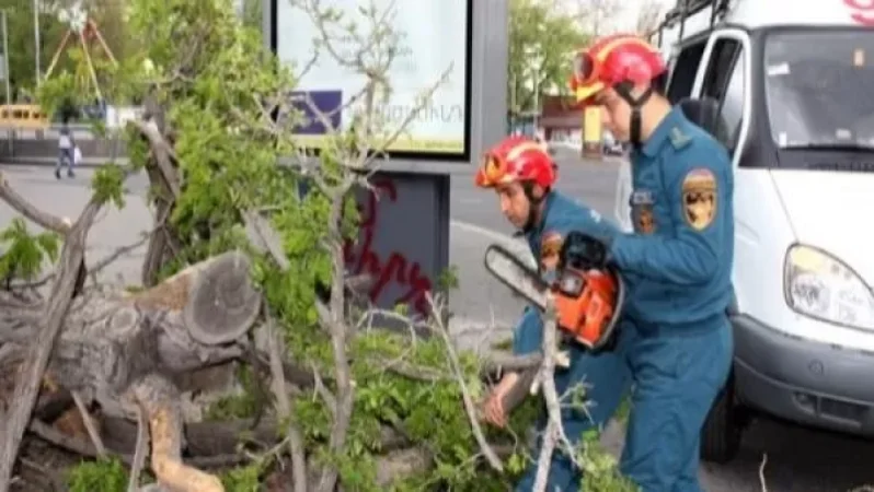 Գյուլագարակում քամուց պոկված ծառը փակել է ճանապարհի երթևեկելի հատվածը