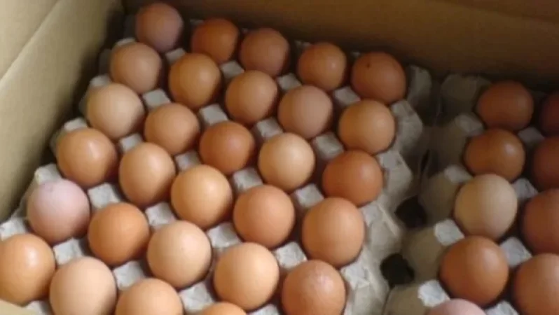 Ձվի գինը կիջնի. ՏՄՊՊՀ նախագահ