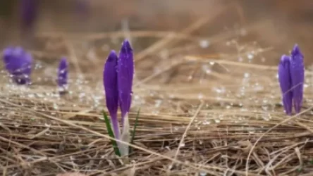 Տեղումները մի քանի օր դադար կվերցնեն. եղանակի տեսություն