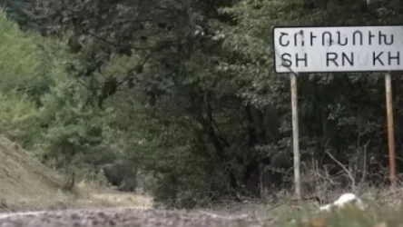 Ադրբեջանցիները գողացել են շուռնուխցու 13 մայր կովերն ու քշել ադրբեջանական գյուղ