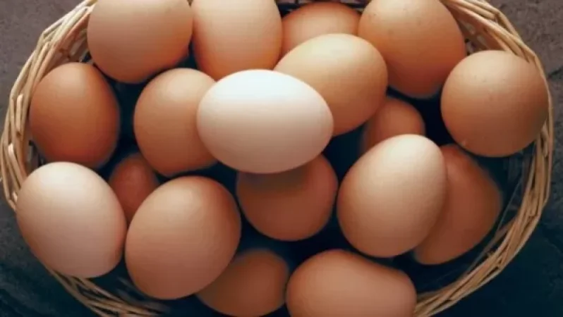 ՏՄՊՊՀ-ն վարչական վարույթ է հարուցել ձու արտադրող մի քանի խոշոր տնտեսվարողի նկատմամբ