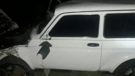 «ՎԱԶ-2121» ավտոմեքենան դուրս է եկել երթևեկելի հատվածից, գլորվել ձորը և բախվել ծառին. կա 3 տուժած