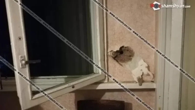 Լոռու մարզի ոստիկանները պարզել են Վանաձորում կրակոցներ արձակողի ինքնությունը