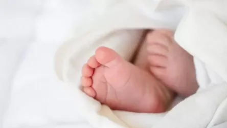 «Աբովյան» ծննդատնից «Մուրացան» հիվանդանոց տեղափոխված նորածինը մահացել է