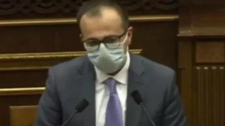 Թորոսյանը՝ տուն-ինտերնատում և մանկատանը վարակվելու դեպքերի մասին