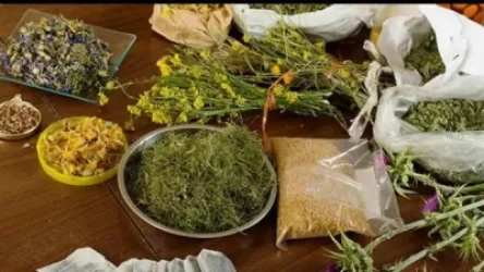 ԱՀԿ-ն թույլ է տվել COVID-19-ը բուժել խոտաբույսերով