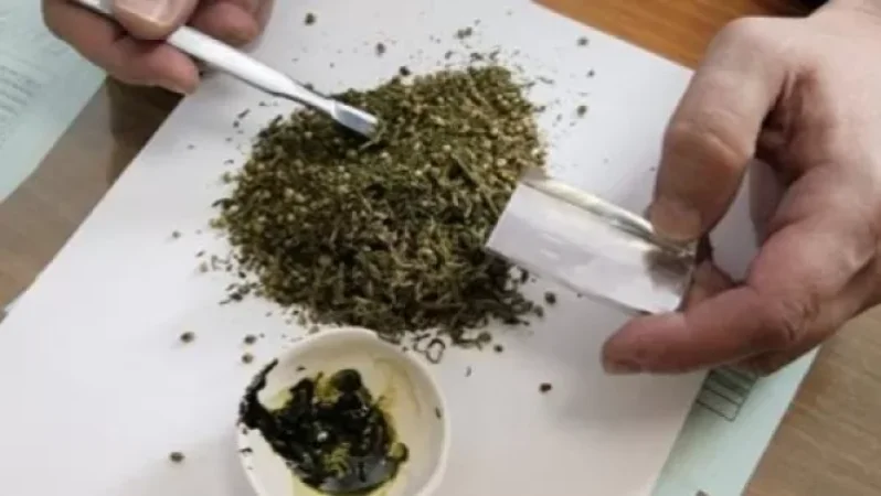 Նյու Յորքում  օրինականացվել է մարիխուանայի օգտագործումը