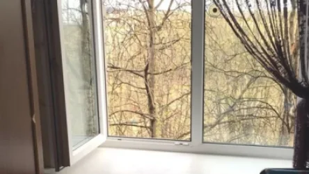 Բաղրամյան պողոտայում 14-ամյա աղջիկն սպառնացել է ցած նետվել պատուհանից