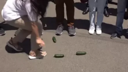 ՏԵՍՆՅՈՒԹ. «Վարունգից չի տարբերվում». ցուցարարները` նախագահի մասին