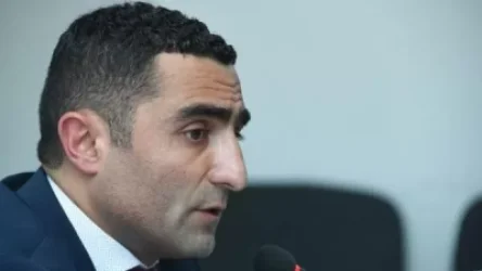 Հարկ է գործել. Ռոմանոս Պետրոսյանը՝ անտառային խնդիրների մասին