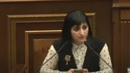 ՏԵՍԱՆՅՈՒԹ. Քարվաճառը մերն է. պարոն Աղազարյան ջա՛ն, ամենաքիչը ձեզանից էի սպասում. Թագուհի Թովմասյան