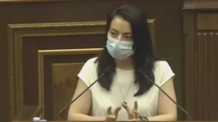 Ձեր գործընկերը մարդկային պահելաձևի բոլոր կարմիր գծերն անցնում է. Քրիստինե Պողոսյանը կոչով դիմեց ԲՀԿ-ին