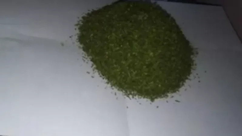 Ոստիկանության Վաղարշապատի բաժնի ծառայողները ապօրինի թմրաշրջանառության դեպքեր են բացահայտել