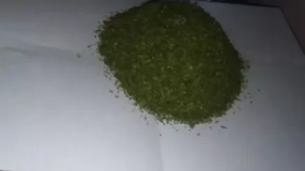 Ոստիկանության Վաղարշապատի բաժնի ծառայողները ապօրինի թմրաշրջանառության դեպքեր են բացահայտել