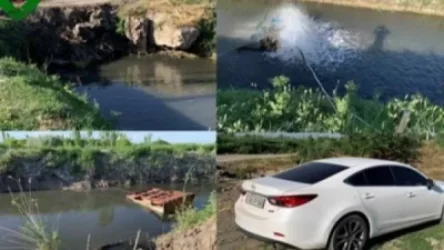 Մասիսի բնակիչը զբաղվում է ձկնաբուծությամբ՝ առանց ջրօգտագործման թույլտվության