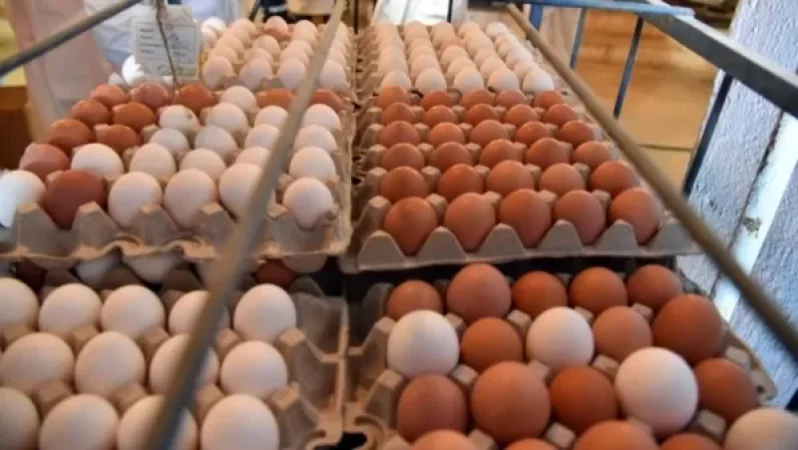 Երևանի խանութներում ձու չկա. սպառվել են անգամ 1 հատը 220-230 դրամ արժեցող հավկիթները. Mediaport