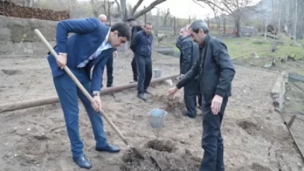 «Մենք մեր հողի տերն ենք». Որոտանում սահմանի երկայնքով ծառատունկ է իրականացվել