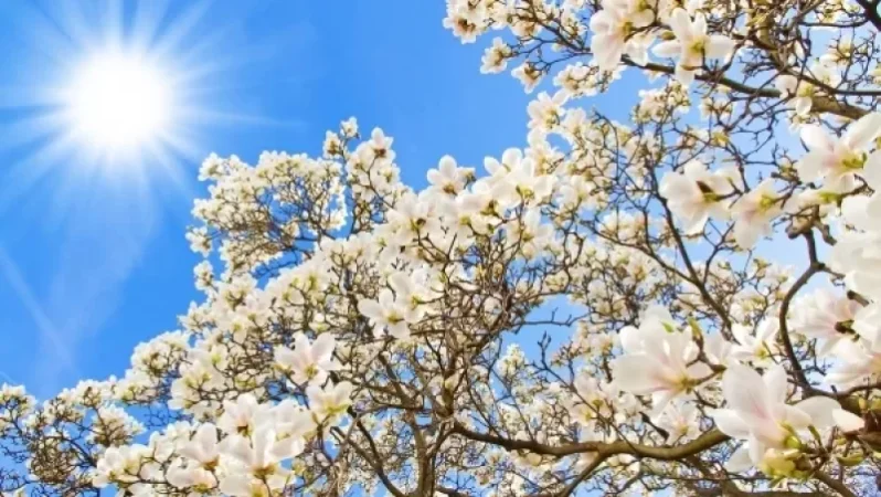 Առաջիկա 4 օրվա եղանակի կանխատեսում