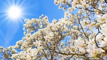 Առաջիկա 4 օրվա եղանակի կանխատեսում