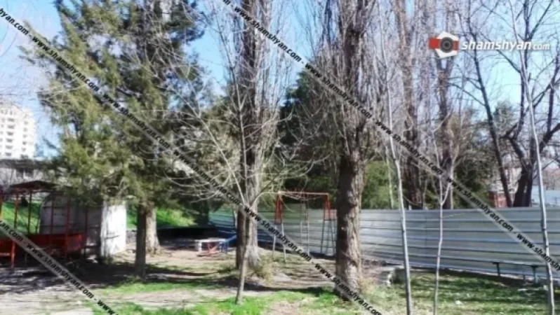 Բազմաֆունկցիոնալ շենքի կառուցման նպատակով Երևանում կատարվելու է հաստաբուն ծառերի սպանդ
