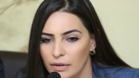 Հայկ Մարությանը զուտ ալարում է իրեն նեղություն տալ ու նոր ուղերձով, 3 ամիս անց, դիմել քաղաքացիներին. Թեհմինա Վարդանյան