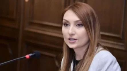 Այնպիսի տպավորություն է, որ փորձ է կատարվում խոչնդոտել իրավապահ մարմինների անկաշկանդ գործողություններին․Մակունց