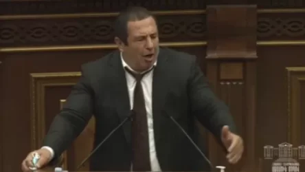 ՏԵՍԱՆՅՈՒԹ. Դեռ հանրահավաք էլ չենք արել, ամբողջ ներքին զորքերը հանել եք․ Ծառուկյան