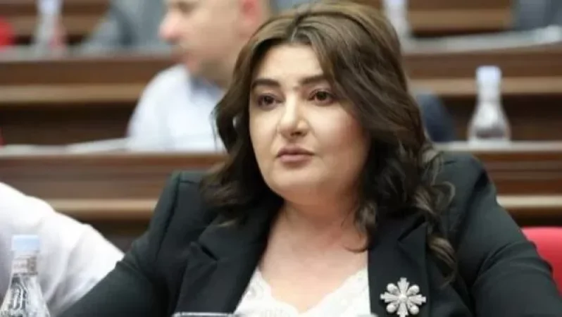 ԲՀԿ-ն բանակցում է Լուսավոր Հայաստանի հետ երկու հարցով․ Տոնոյանը մանրամասնում է