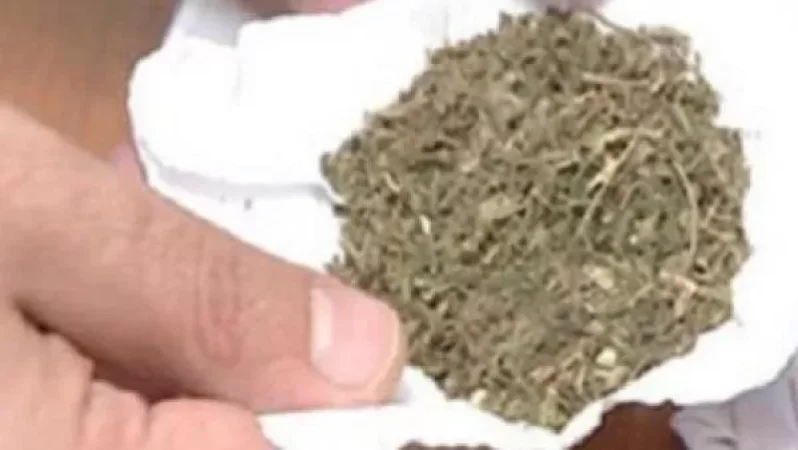 Մեքենայով Արտաշատի բաժին բերման ենթարկված երիտասարդի խուզարկությամբ մարիխուանա է հայտնաբերվել