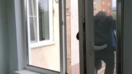 Երևանում` COVID-19 սպասարկող բժշկական կենտոններից մեկում պացիենտը նետվել է պատուհանից