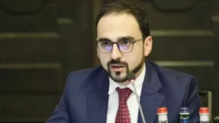 Փոփոխություններ ենք մտցրել Ֆիրդուսի թաղամասի կառուցապատման նախագծում. Ավինյան