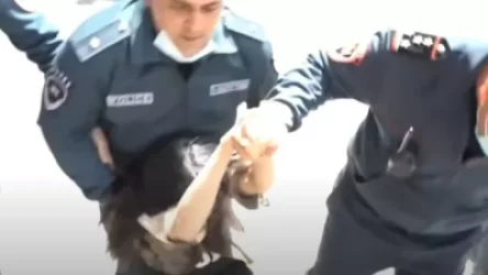 ՏԵՍԱՆՅՈՒԹ. Ոստիկանները քարշ տալով և գրկելով բերման են ենթարկում ցուցարար կնոջը