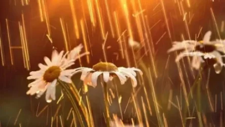 Առաջիկա 4 օրվա եղանակի կանխատեսում