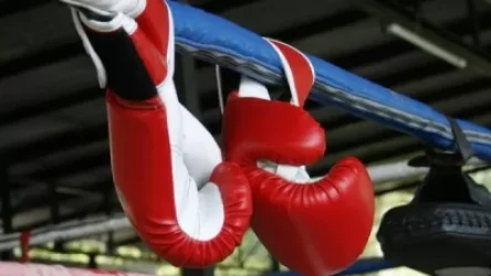 Ադրբեջանցի բռնցքամարտիկները չեն մենամարտել նաև հայ մարզիկների հետ. որն է պատճառը . armeniasputnik