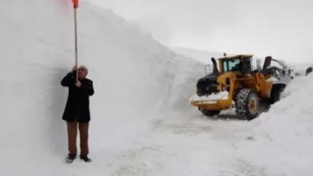 Մուշում ձյան շերտի բարձրությունը հասել է 6 մետրի