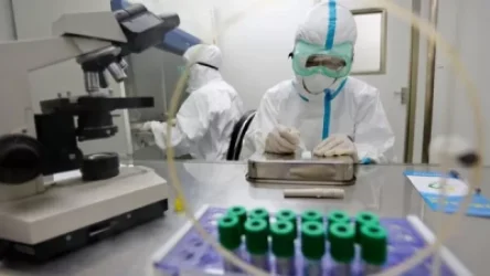 Հայաստանում մեկ օրում հաստատվել է կորոնավիրուսի 1231 դեպք, մահացել է 28 մարդ