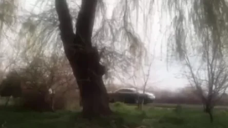 ՏԵՍԱՆՅՈՒԹ. Ծառուկյանի որդու հարսանիքն է, «կալոնան» մոտեցավ Ծառուկյանի տանը. Hraparak. am