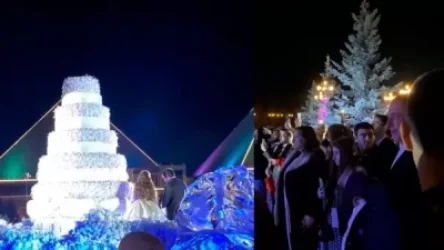 ՏԵՍԱՆՅՈՒԹ. Ծառուկյանի որդու հարսանեկան տորթի արարողությունը. Hraparak. am