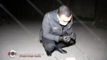 Կրակոց Աբովյան քաղաքում. «Ֆեմիլի ֆուդ» հացատան դիմացից հոսպիտալացվել է 19-ամյա տղա. Shamshyan. com