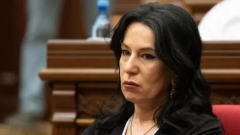 Ես զարհուրում եմ այդ անմարդկային հրապարակումները տեսնելիս. Զոհրաբյանը՝ Ծառուկյանի որդու հարսանիքի քննադատությունների մասին