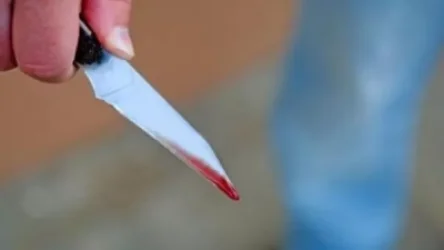 Գեղակերտ գյուղում հարձակվել է ելակ հավաքելու գնացած տղամարդու վրա