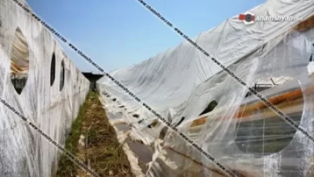 Արտակարգ իրավիճակ Մեծամոր գյուղում. պտտահողմը մի քանի ջերմոցներ պոկել ու մոտ 200 մետր շպրտել է. Shamshyan.com