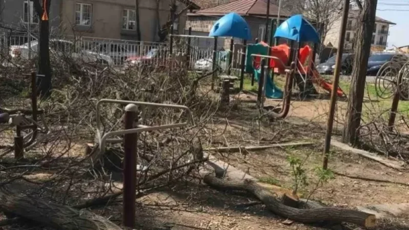 Ծառահատում, խաղահրապարակի ապամոնտաժում․ Արաբկիրի թաղապետը դիմել է դատախազություն