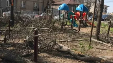 Ծառահատում, խաղահրապարակի ապամոնտաժում․ Արաբկիրի թաղապետը դիմել է դատախազություն