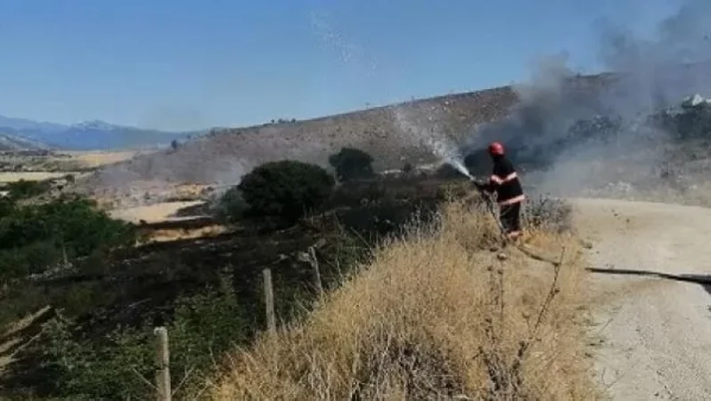 Հրշեջ-փրկարարները մարել են խոտածածկ տարածքներում բռնկված հրդեհները՝ ընդհանուր ընդգրկելով մոտ 21 հա տարածք