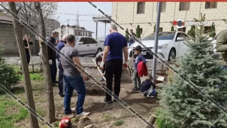 Residents of Arabkir Administrative District's Building 79A Plant Over 150 New Trees Instead of Recently Cut Ones