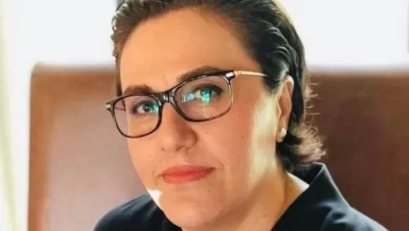 Սուքիասյանների ընտանիքը ոչ մի առնչություն չունի «Հայինկասացիա» ՓԲԸ-ի լուծարման հետ․ Աննա Մկրտչյան