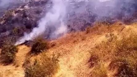 Որոտան գյուղի մոտակայքում բռնկված հրդեհը մարվել է. այրվել է մոտ 30 հա խոտածածկ տարածք